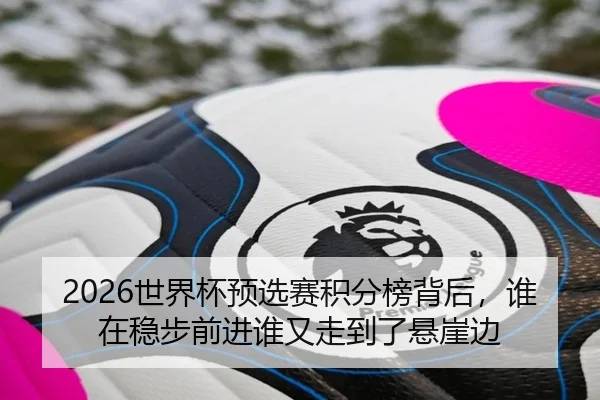 2026世界杯预选赛积分榜背后，谁在稳步前进谁又走到了悬崖边